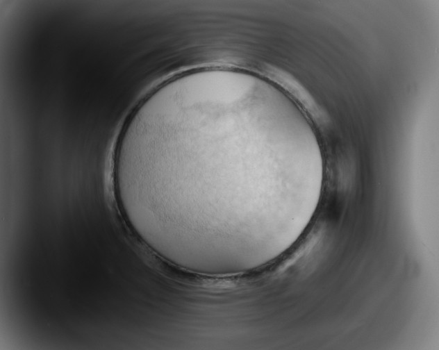 X0000087531332200705181023