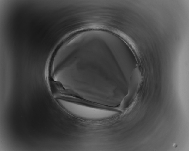 X0000087531334200705181024