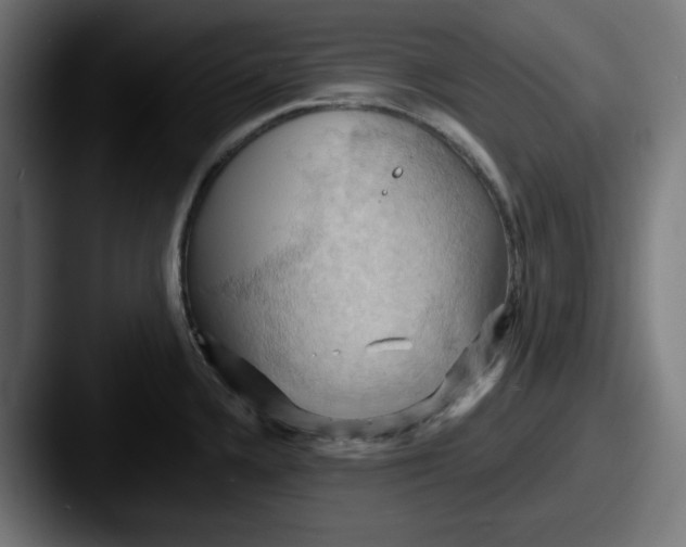 X0000087531336200705181024