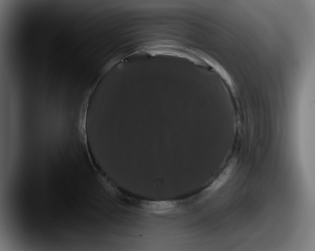 X0000087531337200705181024