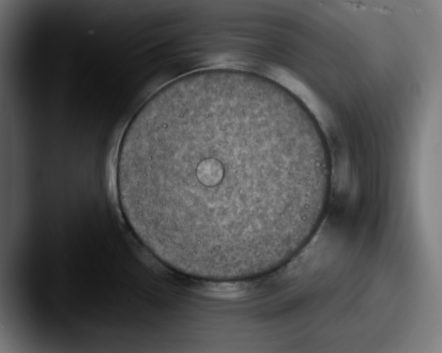 X0000087531338200705181024