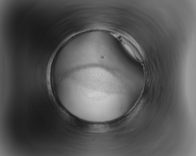 X0000087531339200705181024