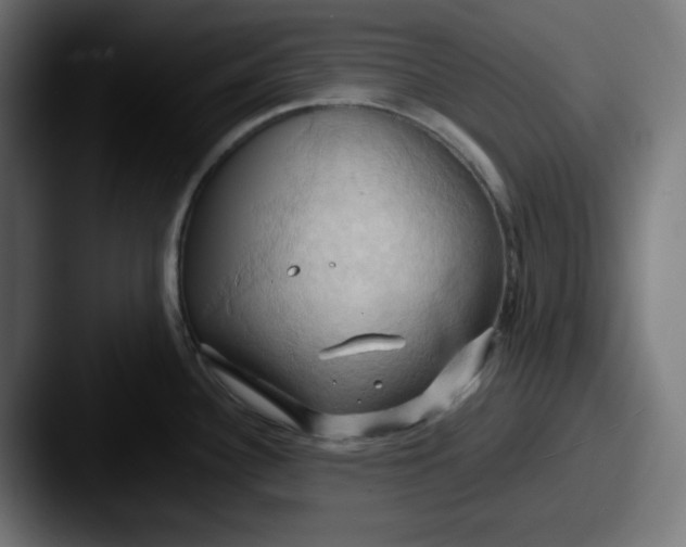 X0000087531340200705181024