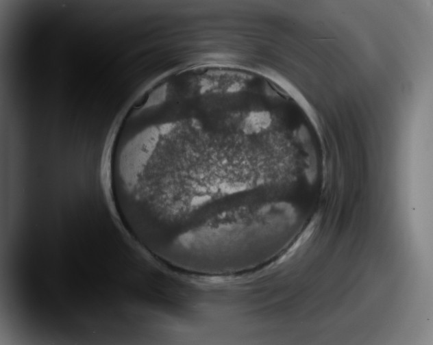 X0000087531341200705181024