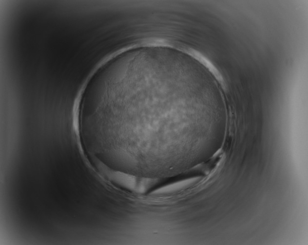 X0000087531342200705181024