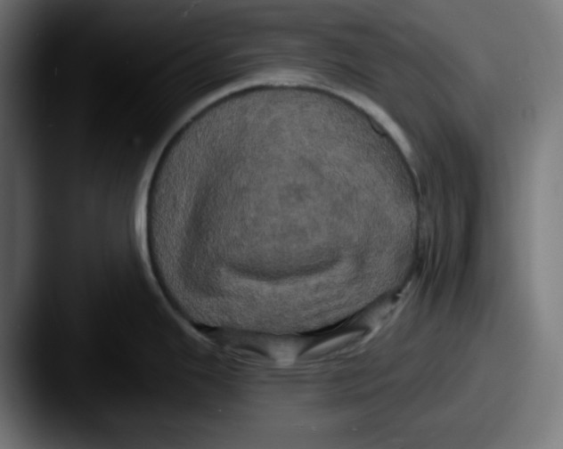 X0000087531343200705181024