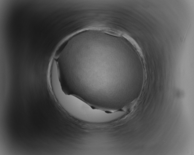 X0000087531344200705181024