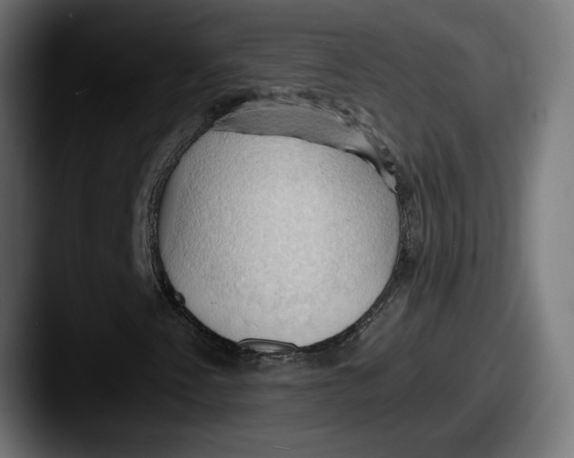 X0000087531345200705181023