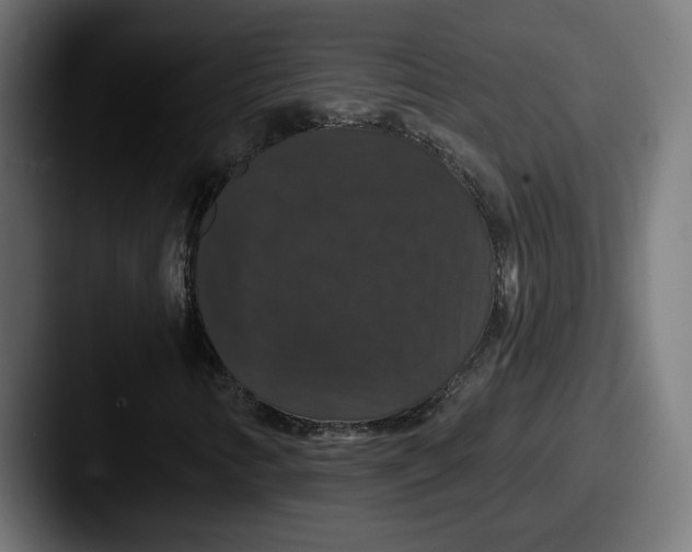 X0000087531346200705181023