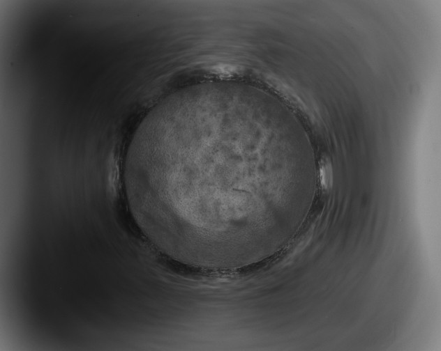 X0000087531347200705181023