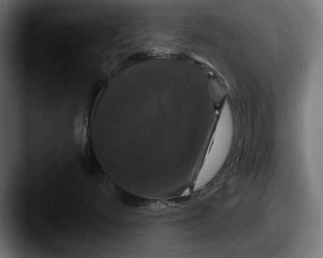 X0000087531348200705181023