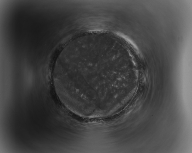 X0000087531351200705181023