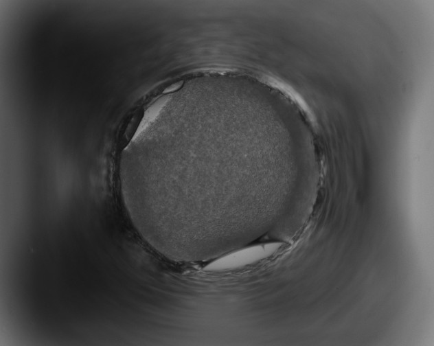 X0000087531352200705181023