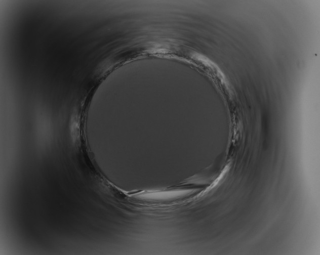 X0000087531353200705181023