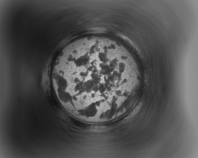 X0000087531354200705181023