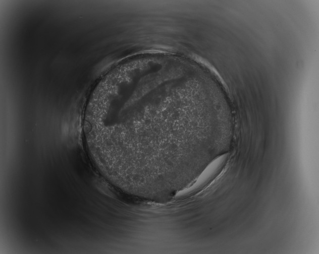 X0000087531355200705181023