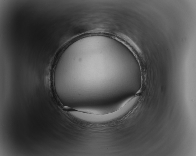 X0000087531356200705181023