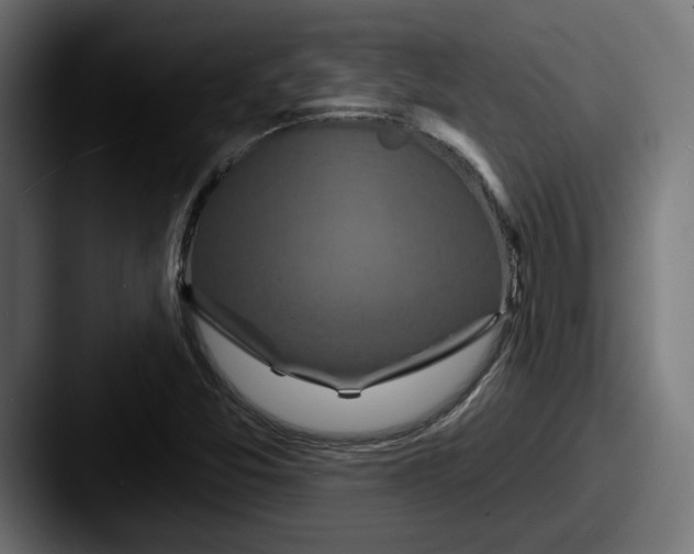 X0000087531357200705181023