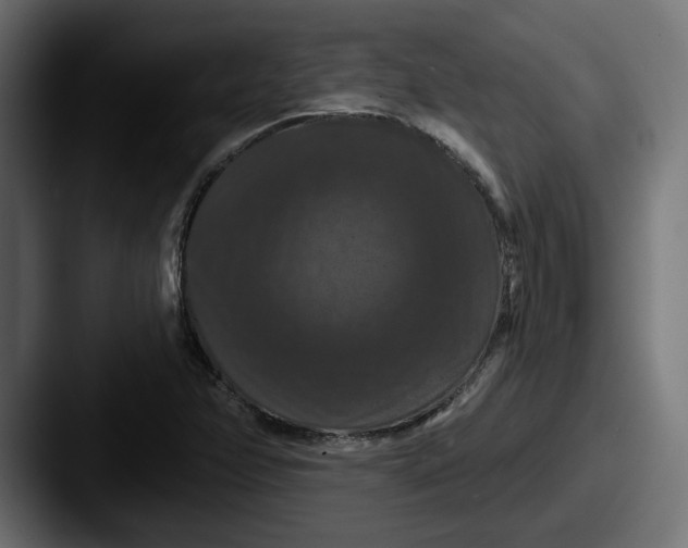 X0000087531358200705181023