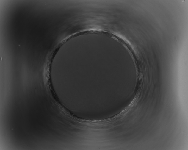 X0000087531359200705181023