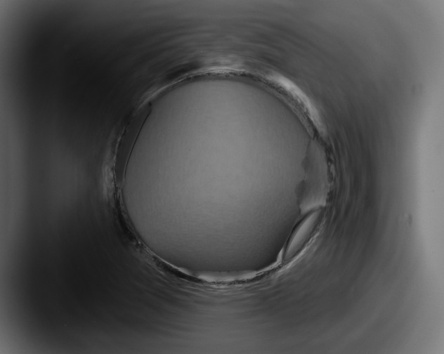 X0000087531361200705181023