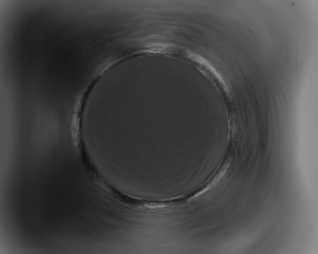 X0000087531362200705181023