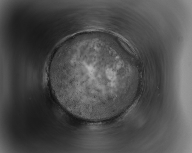 X0000087531363200705181023