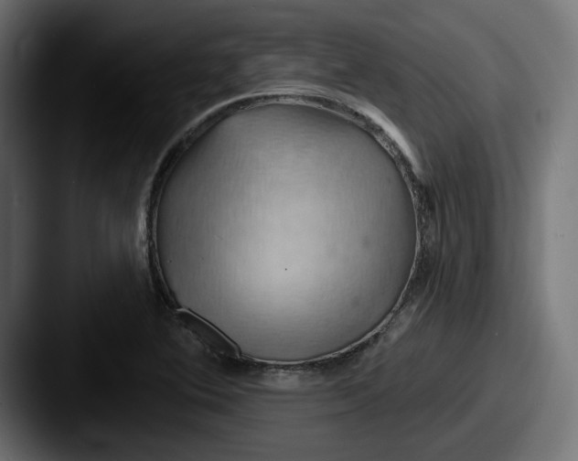 X0000087531364200705181023