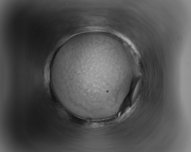 X0000087531365200705181023