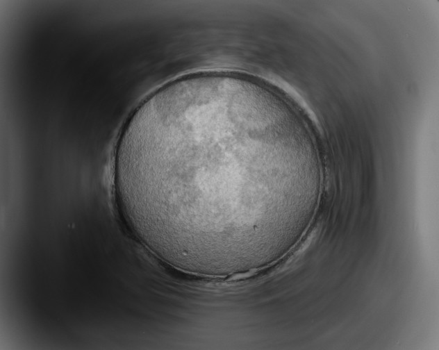 X0000087531366200705181023