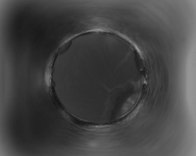 X0000087531367200705181023