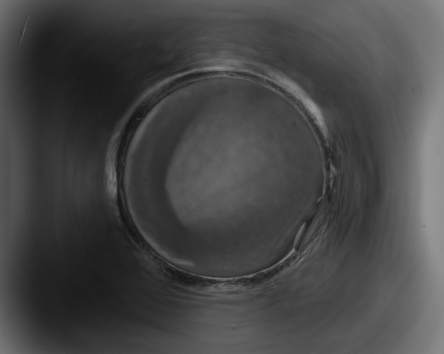 X0000087531368200705181023