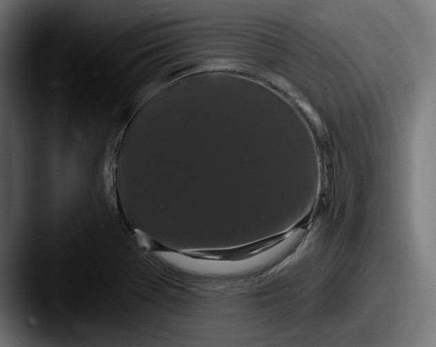 X0000087531369200705181023