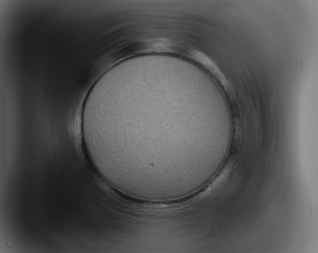 X0000087531370200705181023