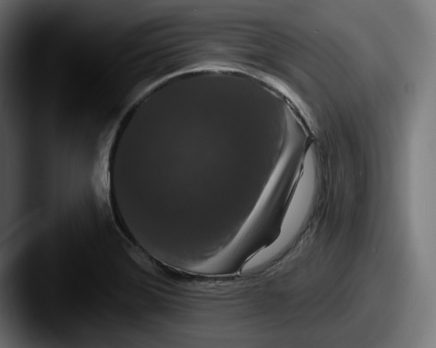 X0000087531372200705181023