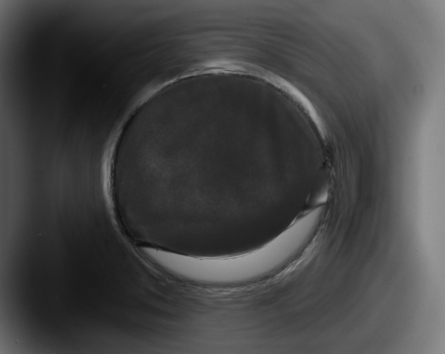 X0000087531373200705181023