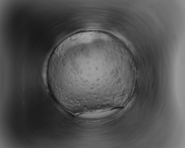 X0000087531374200705181023