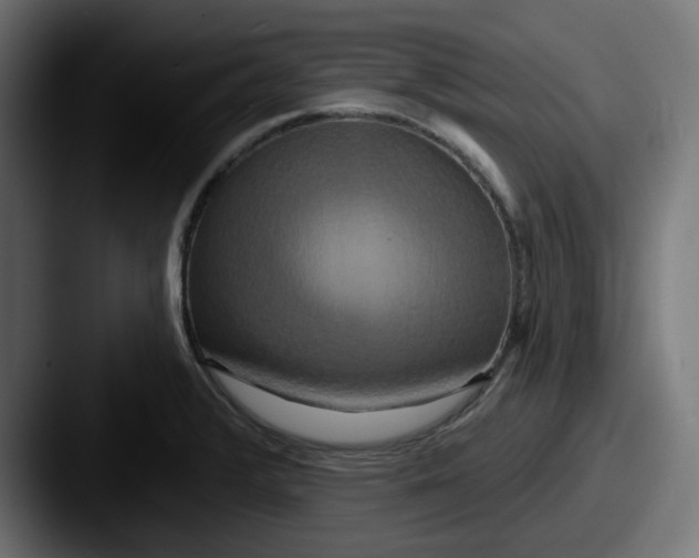 X0000087531376200705181023