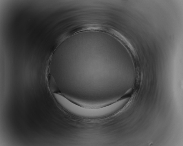 X0000087531377200705181023