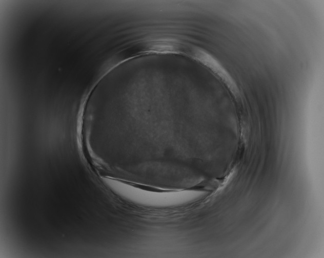 X0000087531378200705181023