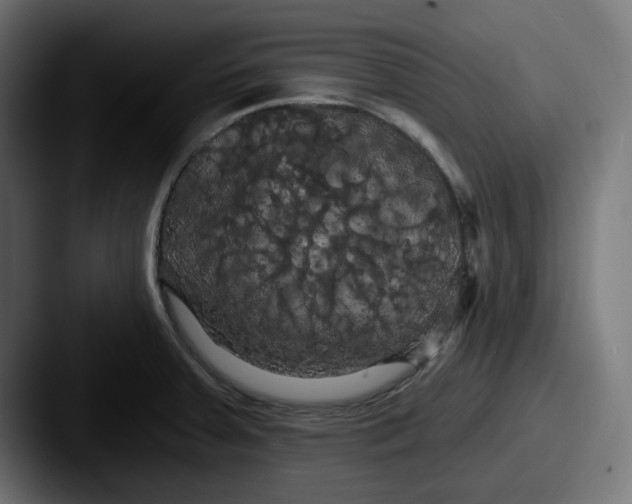 X0000087531379200705181023