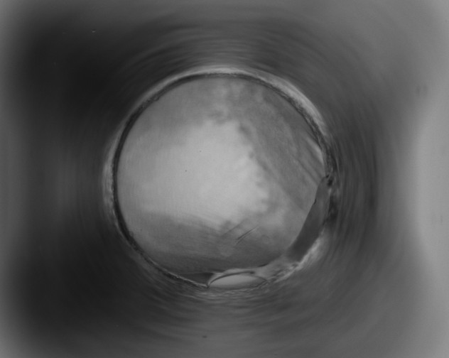 X0000087531380200705181023