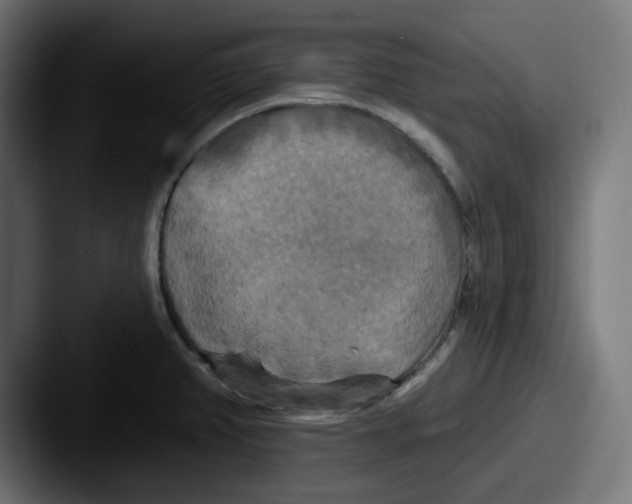 X0000087531382200705181023