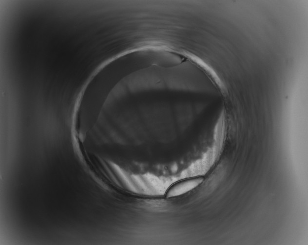 X0000087531383200705181023