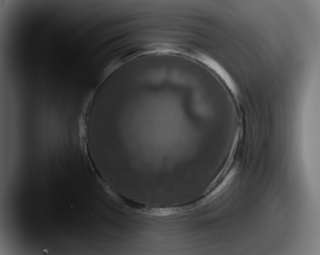 X0000087531385200705181023