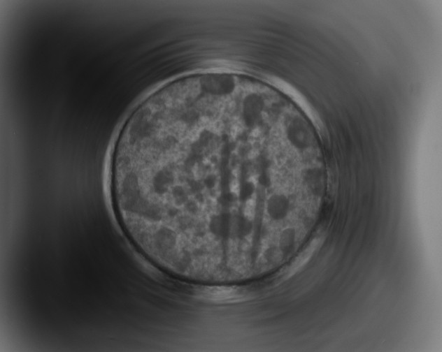 X0000087531387200705181023