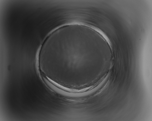 X0000087531388200705181023