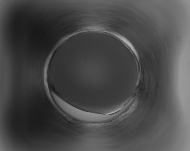 X0000087531389200705181023