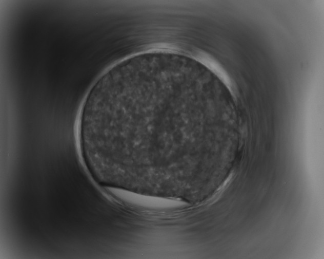 X0000087531391200705181023