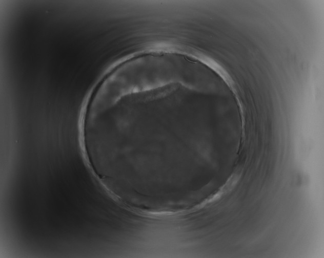 X0000087531392200705181023